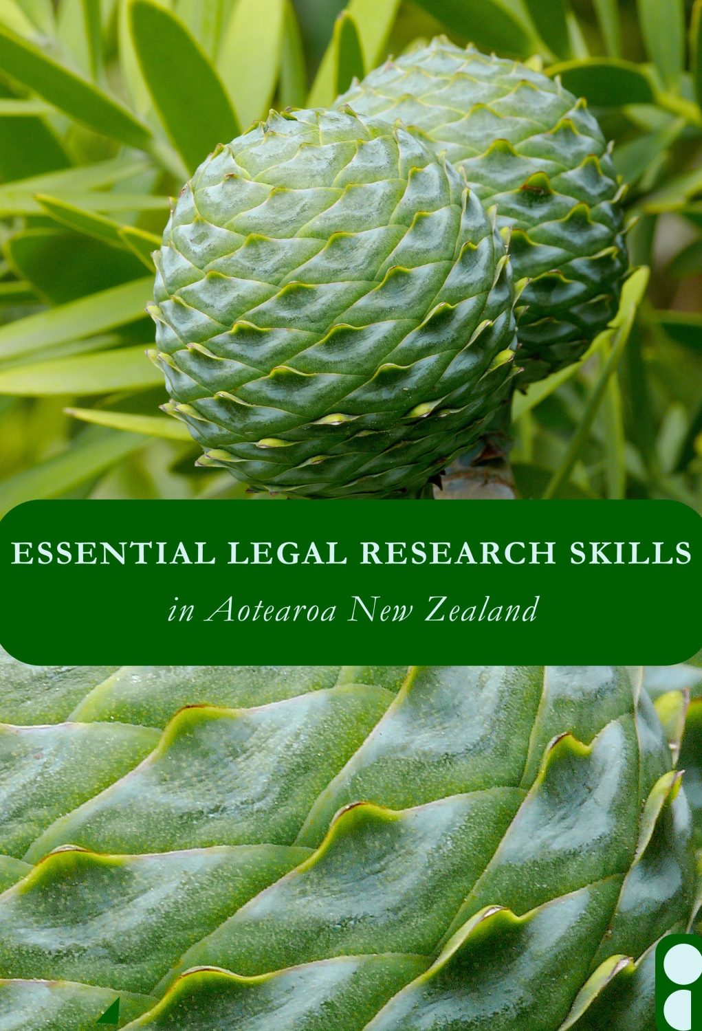 Cover image for Essential Legal Research Skills in Aotearoa New Zealand