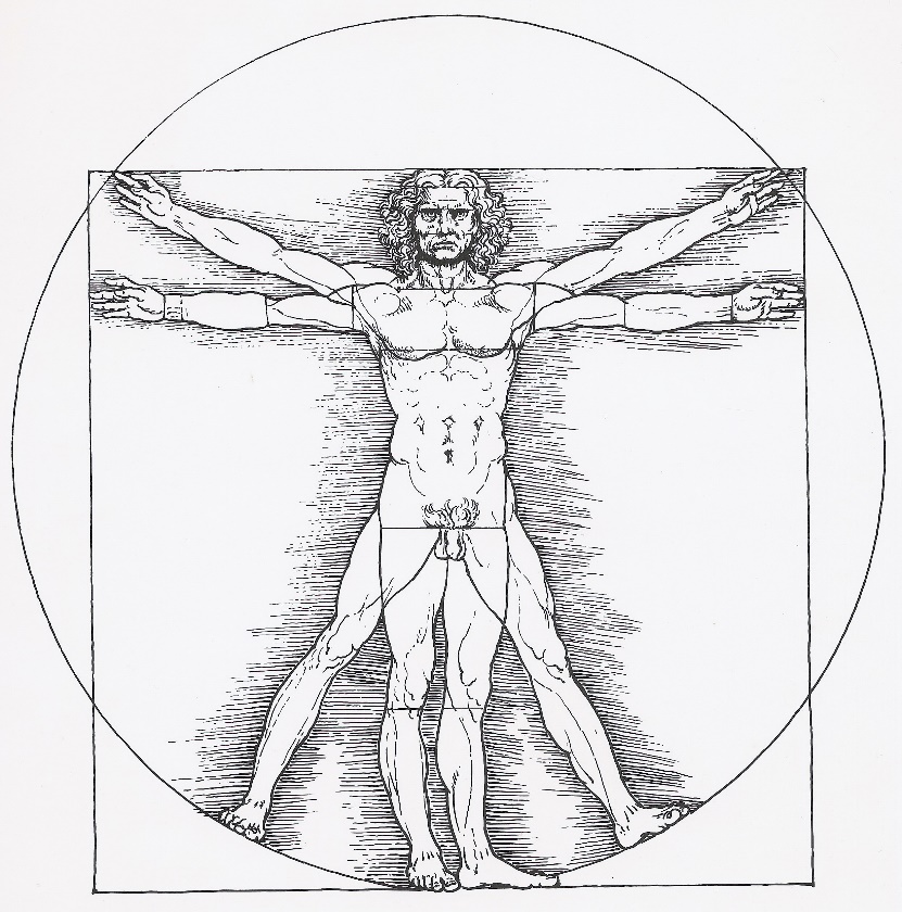 A drawing by da Vinci of a nude male figure. It is a visual representation of the "perfect man".