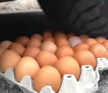 A carton of eggs and a section of a car wheel to illustrate the story in the text.