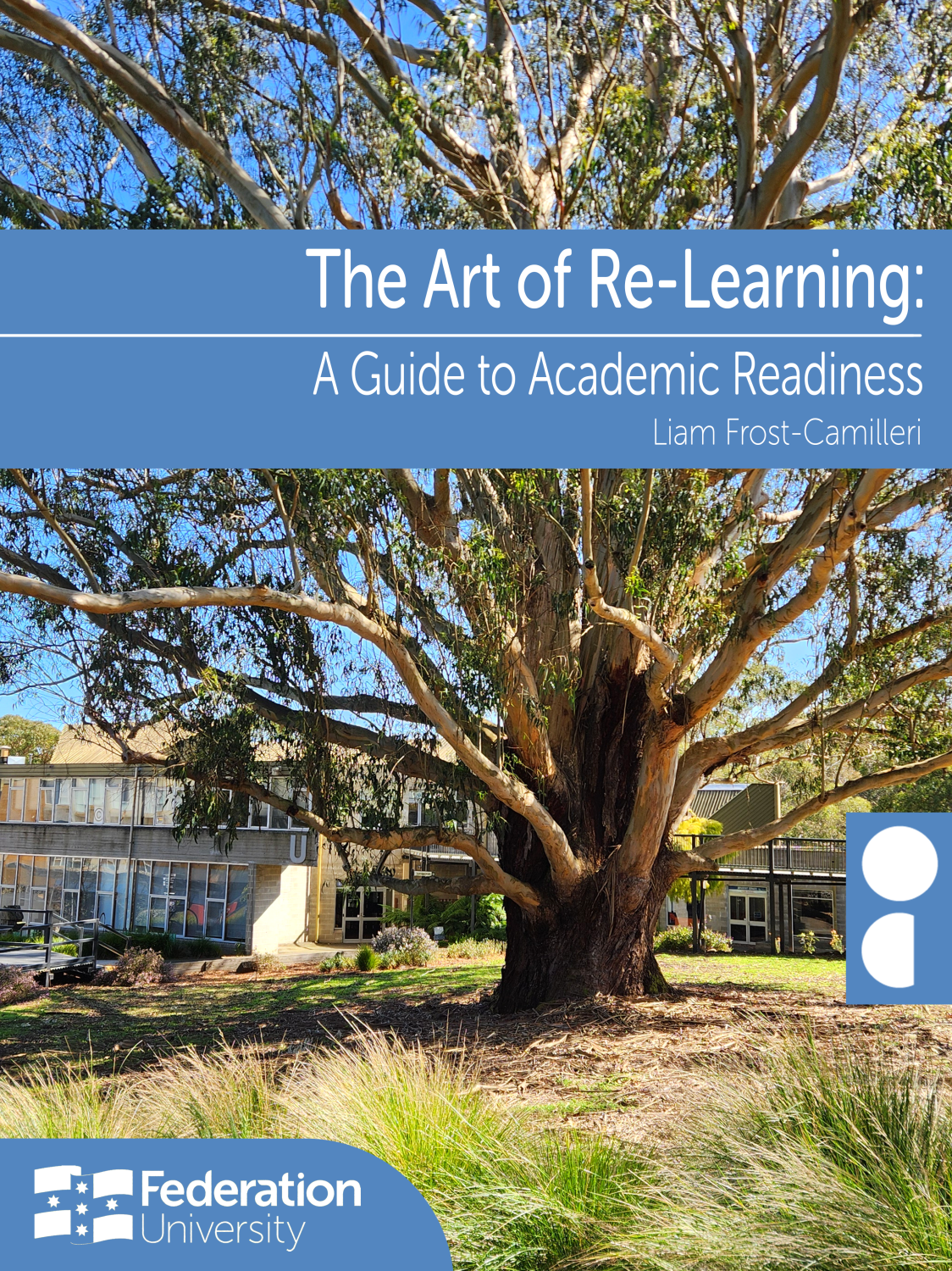 Cover image for The Art of Re-Learning: A Guide to Academic Readiness