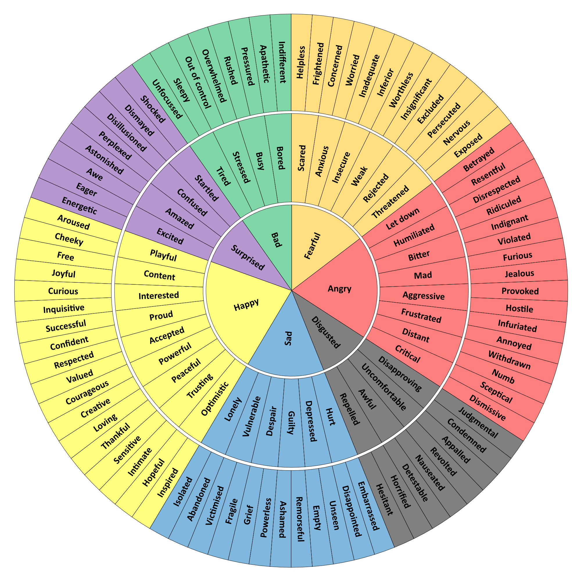 Circle showing rings of emotions from general to very specific