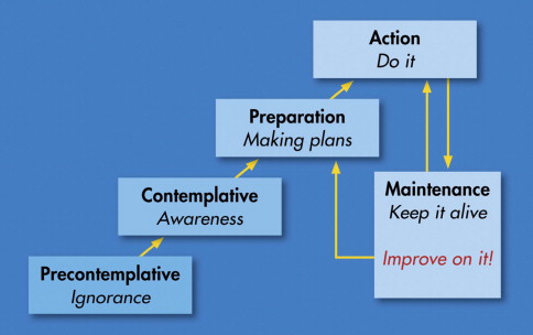 A model of change is presented beginning with pre-contemplative (ignorance), Contemplative (awareness), Preparation (Making plans), Action (do it) and Maintenance (keep it alive). This is then indicated as going into a continual improvement cycle of Preparation, Action, Maintenance - improve on it - Preparation - Action - Maintenance...