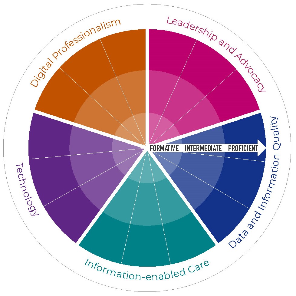 Circle diagram shown with 5 equal portions labelled as: Digital professionalism; Leadership and advocacy; Data and information quality; Information enabled care; Technology. A directional arrow pointing to the right hand side is shown in the Data and information quality portion with the 3 words: Formative; Intermediate; Proficient.