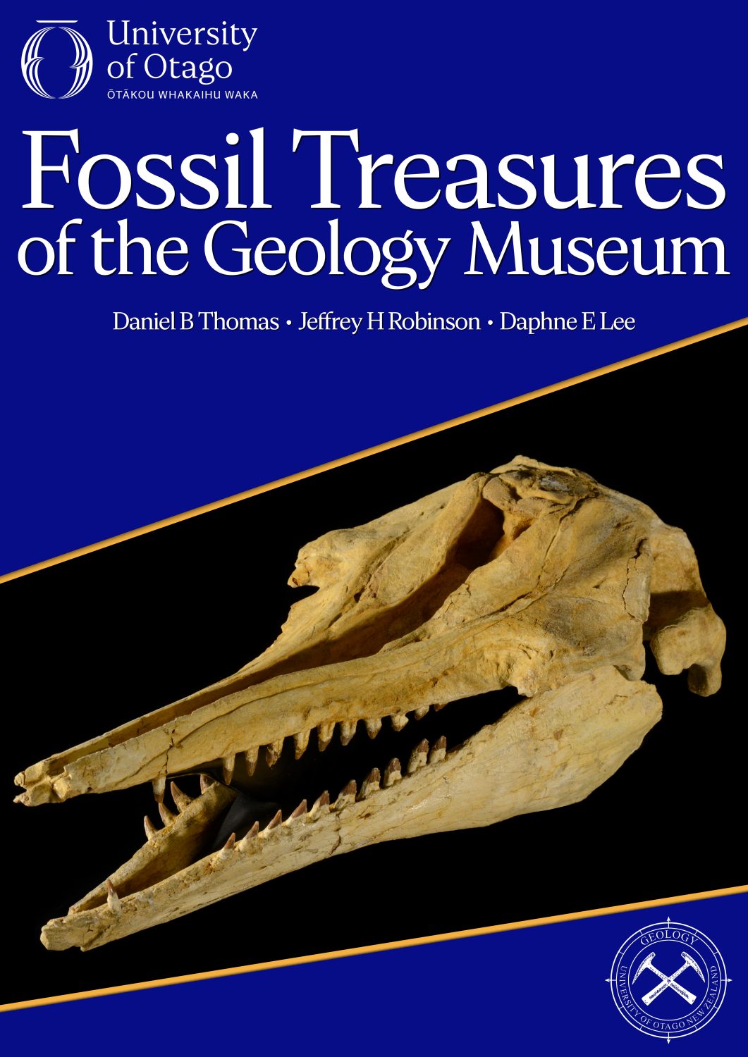 Cover image for Fossil Treasures of the Geology Museum