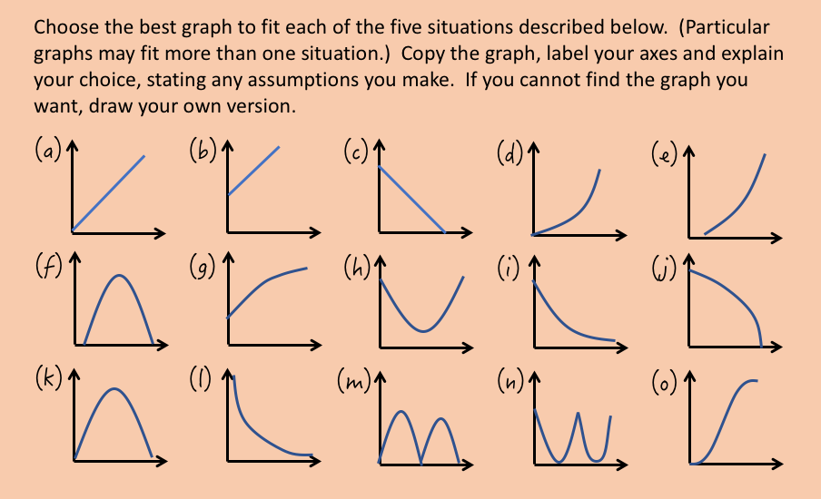 Series of graphs showing a variety of different graph shapes.