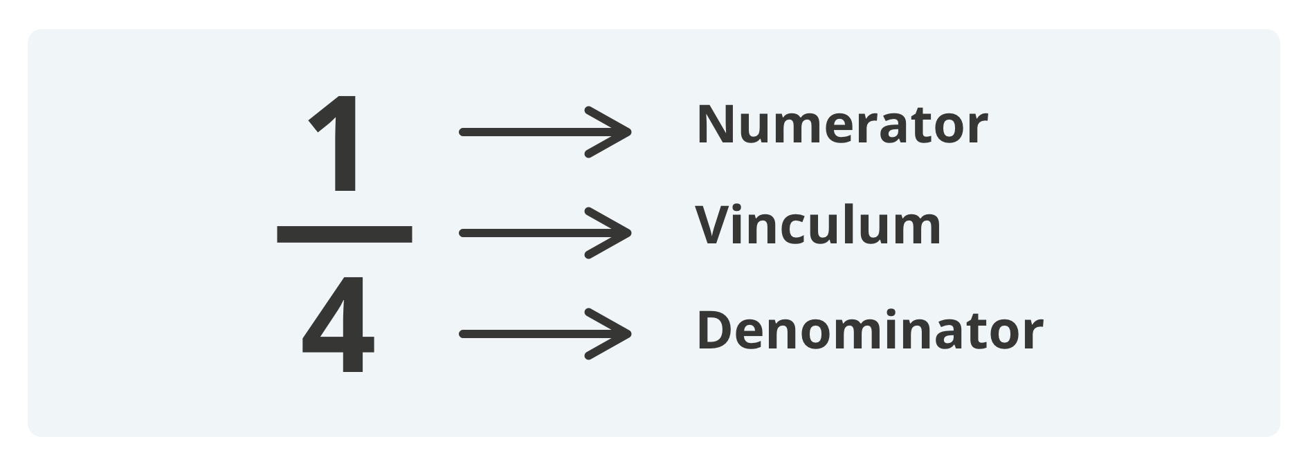 numerator on top, vinculum is the line separating the top of the fraction from the bottom, and the denominator is on the bottom