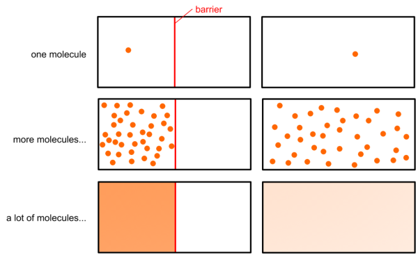 Illustration showing increasing numbers of molecules on one side of a barrier, transitioning from one molecule, to many, to a dense area.