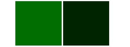 Vomit colours indicative of bile present