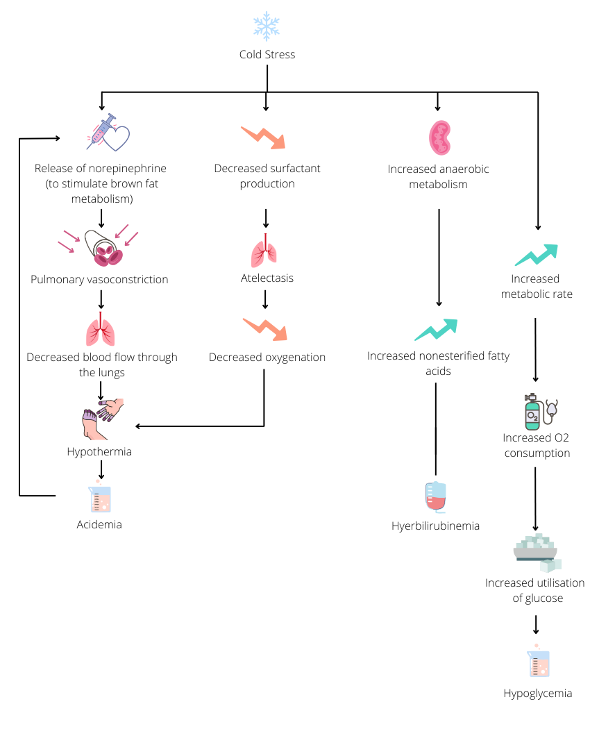 Pictorial representation of the text on cold stress