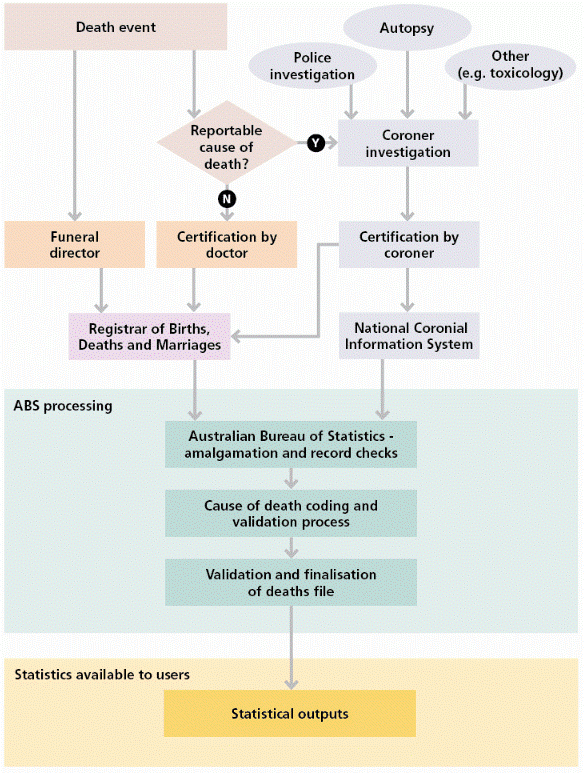 Flowchart depicting how the Australian Cause of Death Statistics System works. Image description available.