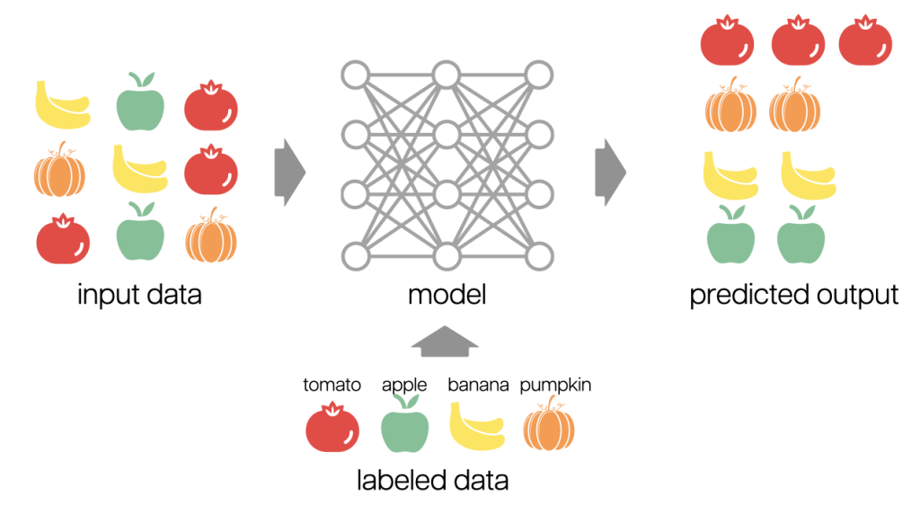 A diagram illustrating supervised machine learning using fruit and vegetable icons. On the left, a 3x3 grid labeled 'input data' shows bananas, apples, tomatoes, and pumpkins. Below it, a key labeled 'labeled data' matches each icon with its name: tomato, apple, banana, and pumpkin. In the center, a neural network labeled 'model' processes the input. On the right, a similar 3x3 grid labeled 'predicted output' shows the model's classification: the same types of fruits and vegetables, now grouped by kind.