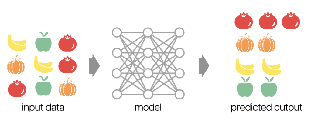 A visual representation of a supervised machine learning workflow. On the left, labeled 'input data', is a 3x3 grid of colorful icons: bananas, apples, tomatoes, and pumpkins. In the center, a diagram of a neural network labeled 'model' shows interconnected nodes. On the right, labeled 'predicted output', the same types of icons are grouped by category: tomatoes on the top row, pumpkins in the middle, bananas below, and apples at the bottom.