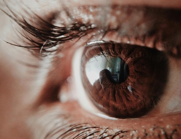 Close-up of human eye
