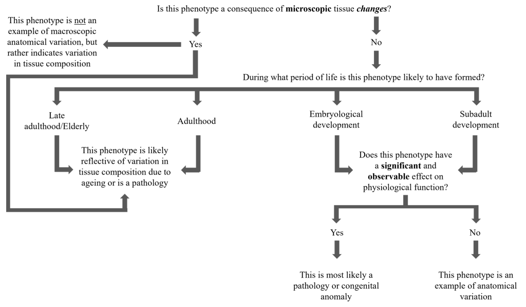Introduction to Anatomical Variation Anatomical Variation An
