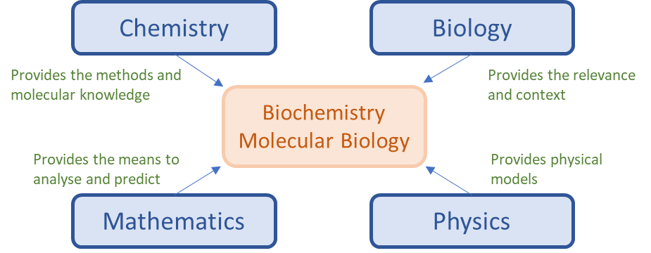 Biochemistry and molecular biology draw on different disciplines including biology and chemistry but also maths and physics.