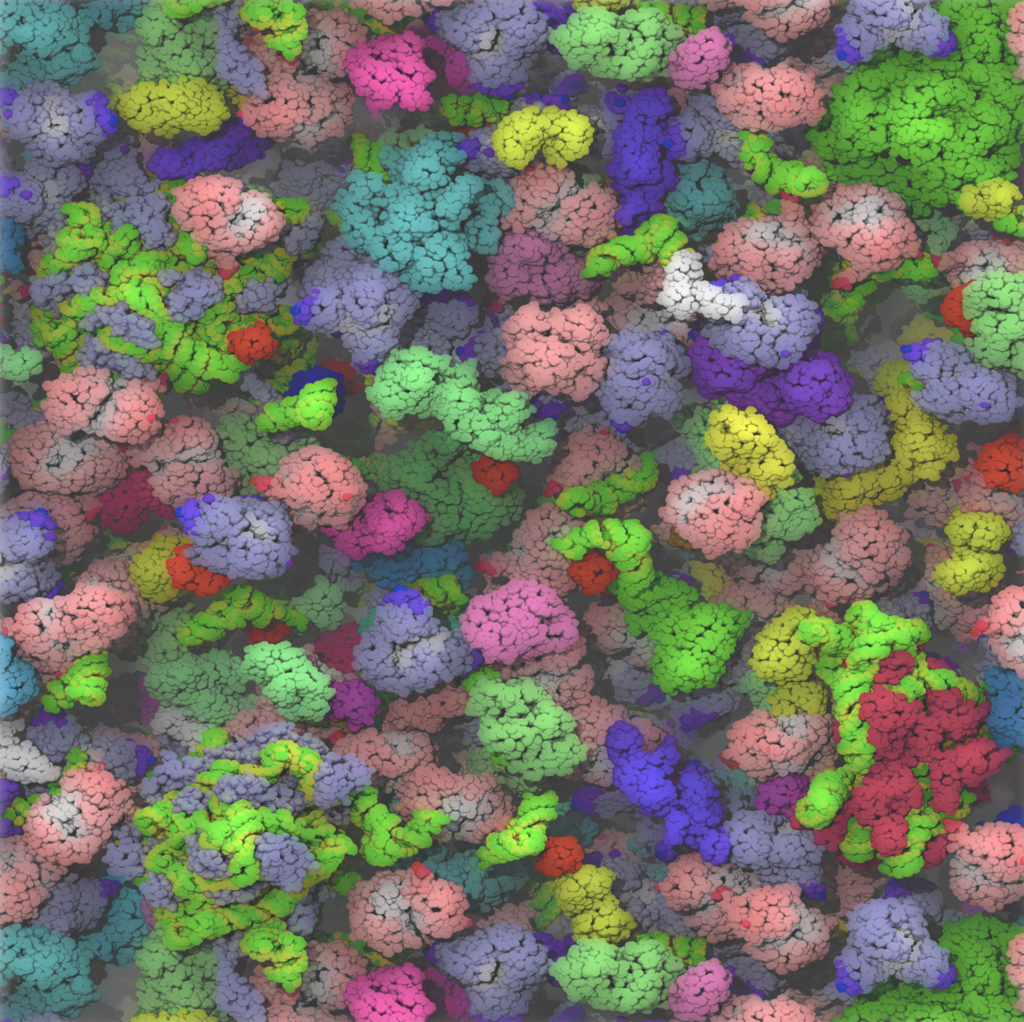 A computer generated image showing a model of the cytoplasms tughtly packed with various globular macromolecules.