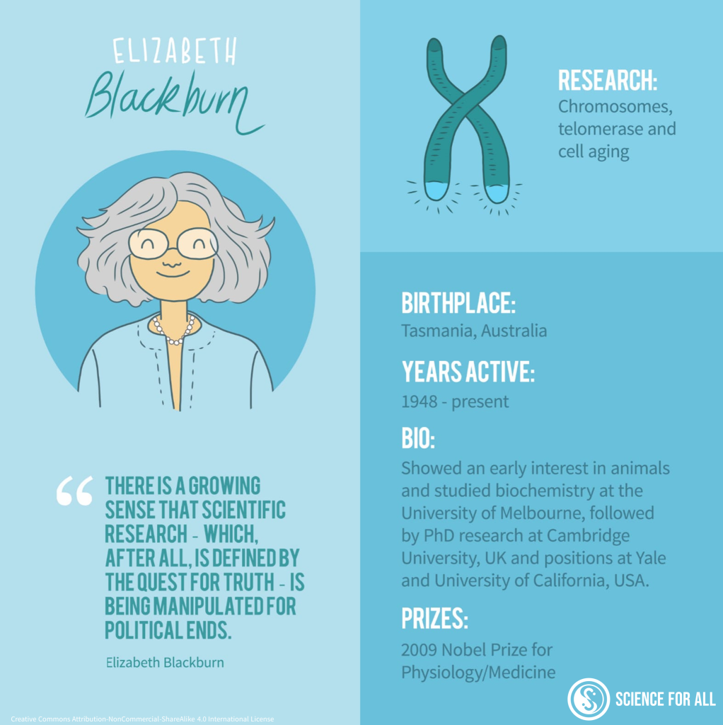 Profile of Elizabeth Blackburn including area of research, birthplace, years active, a short biography and prizes.