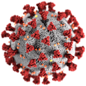 Electronic image of COVID-19 virus