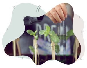 A child's hand is holding a ruler next to a seedling. The child is measuring the hight of the seedling.