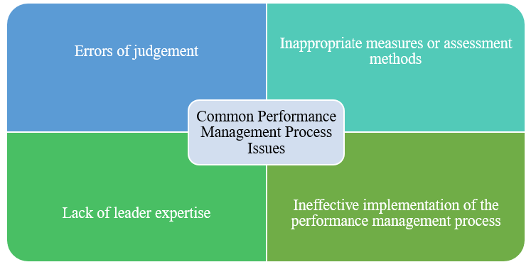 This diagram shows common performance management process issues. This includes errors of judgement, inappropriate measures or assessment methods, lack of leader expertise and ineffective implementation of the performance management process.
