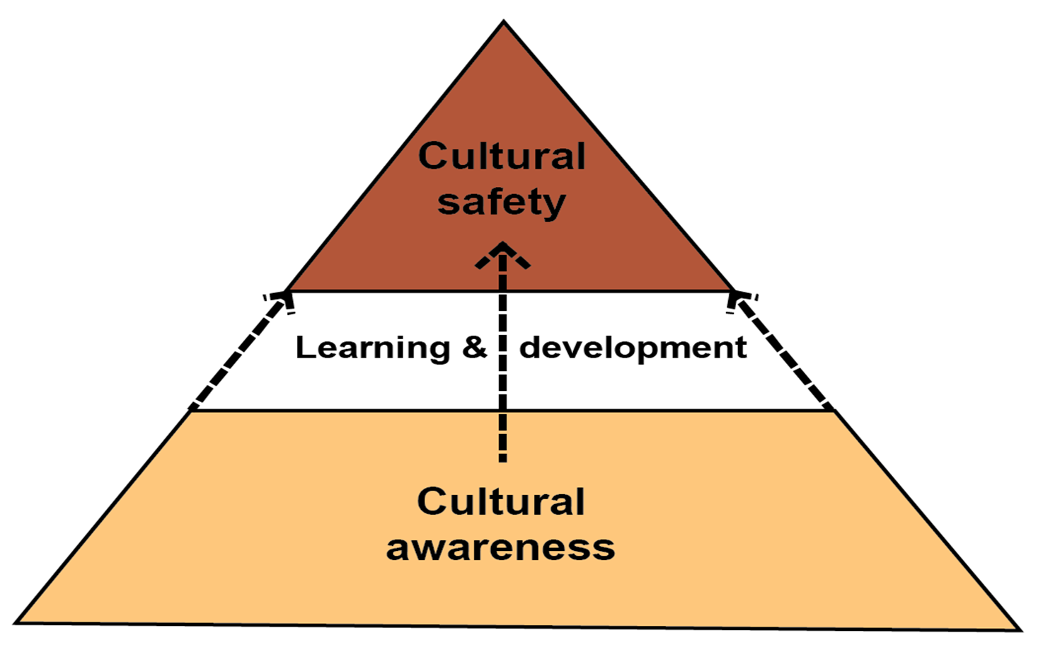 Cultural Safety and Awareness Frameworks in Health and Social Care ...
