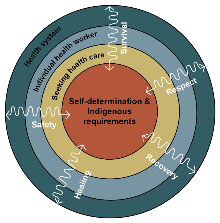 Cultural Safety and Awareness Frameworks in Health and Social Care ...