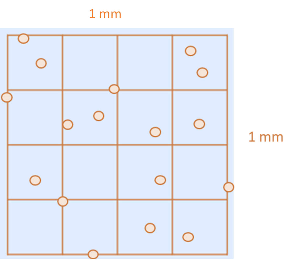 A diagram of one of the corner squares from the counting chamber with circles representing cells. Some of the cells straddle the outer perimeter of the chamber showing the need to have a systematic approach to counting the cells to ensure consistent inclusion and exclusion of cells.