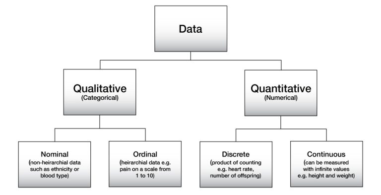 9-1-types-of-data-foundations-of-biomedical-science-quantitative