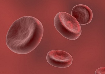 An artist’s depiction of erythrocytes showing their characteristic biconcave disc shape.