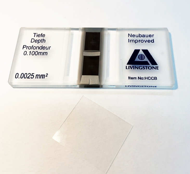A photograph of a haemocytometer slide with a coverslip.