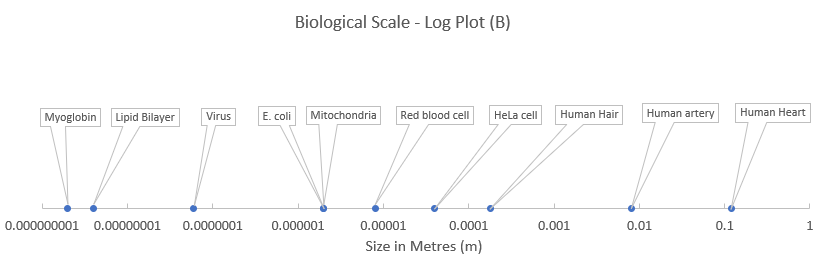 A number of biological components varying greatly in size are plotted on a linear scale or a logarithmic scale. With a linear scale most of the components are compressed at one end of the scale but they are easily discernible and comparable on a logarithmic scale.