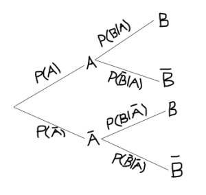 Tree diagram illustrating the use of the conditional probability calculations for two sequential events A and B. We begin with a node with two arms, one leading to A and the other to A' (A complement). The arms are labelled P(A) and P(A') respectively. From the node with A, two arms lead to B and B' (B complement). The arms are labelled P(B) and P(B') respectively. Similarly, from the node A', to arms lead to B and B', and are labelled P(B) and P(B') respectively.