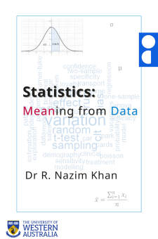 Statistics: Meaning from data book cover