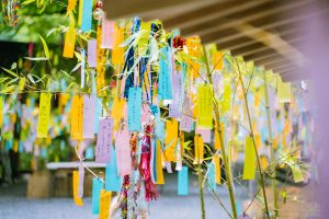 Colorful Papers Hanging on the Tree Branch