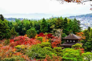 Temple in Osaka Among Trees