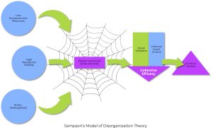 This image shows the relationship between social disorganisation, weak social controls, and crime. When there are high levels of social disorganisation, neighborhoods can have weak social ties, which may result in low collective efficacy, which can lead to crime.