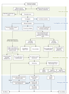 This is a flow chart that follows a criminal incident through the following parts of the criminal justice system: entry into the system, investigation and charging, adjudication and sentencing, and managing offenders,