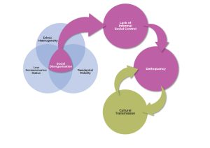 An infographic where low socioeconomic status, residential instability, and ethnic heterogeneity point to social disorganisation, which in turn points to lack of informal social control. Lack of informal social control leads to delinquency while at the same time, delinquency and cultural transmission exist in a loop that is self-perpetuating.