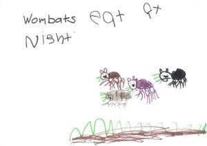 A child's drawing of wombats eating grass. The words 'wombats eat at night' is written across the top in a child's handwriting.
