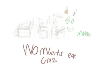 A child's illustration of a wombat with the words 'Wombats eat grass' written messily across the bottom.