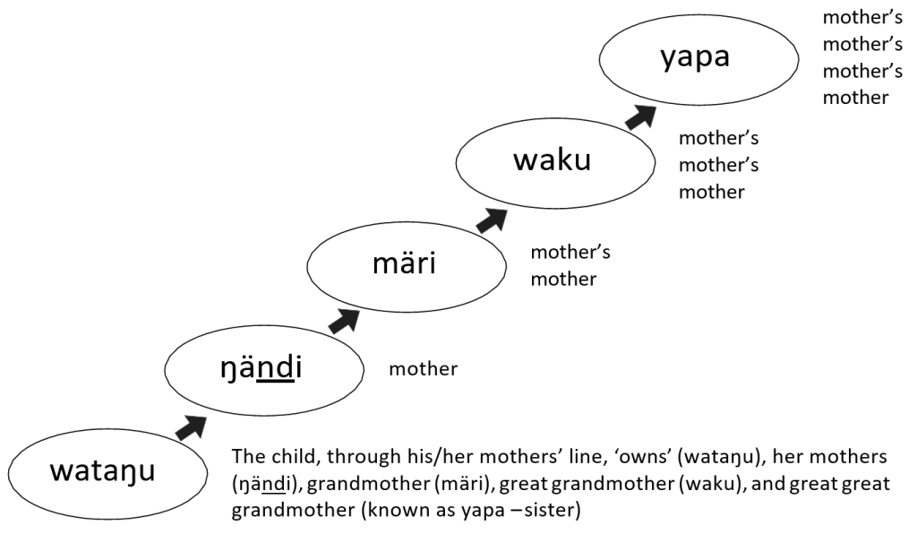 The diagram is a simplified kinship diagram which traces the child’s ancestry through their mother’s line.   Starting with the child represented by a circle, an arrow points diagonally upwards to the mother, then another to the mother’s mother, mother’s mother’s mother, amd mother’s mother’s mother’s mother.  Each circle represents both the woman in the ancestral line, and her whole clan group.