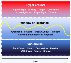 Image shows 3 levels. Top level is red and explored hyper-arousal with descriptors such as anxiety. Window of tolerance is next, large blue space, shows wriggly yellow line suggesting variation. concepts such as grounded. lower section dark blue, Hypo-arousal with concepts such as depression