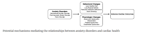 A diagram illustrating the relationship between anxiety disorders and cardiovascular health, highlighting the bidirectional link between mental health and heart disease. The image shows how anxiety disorders—such as generalized anxiety disorder, panic disorder, and post-traumatic stress disorder—can contribute to cardiovascular disease through pathways like increased stress, inflammation, autonomic dysfunction, and unhealthy lifestyle behaviors. Conversely, cardiovascular disease can exacerbate anxiety symptoms, creating a cycle of psychological and physiological impact. The model underscores the importance of integrated mental and physical healthcare approaches